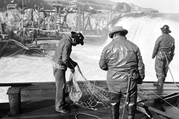 Black-and-white photograph: Indigenous Fishing at Celilo Falls, 1940s. Location: Celilo Falls, Columbia River, Oregon. Date: c. 1940s.