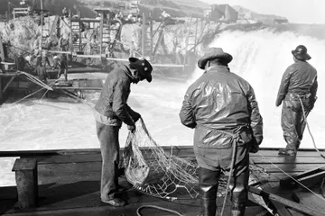 Black-and-white photograph: Indigenous Fishing at Celilo Falls, 1940s. Location: Celilo Falls, Columbia River, Oregon. Date: c. 1940s.