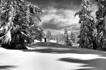 Black-and-white photograph: Winter on Mt. Hood, 1940s. Location: Mt. Hood, Oregon. Date: c. 1940s.