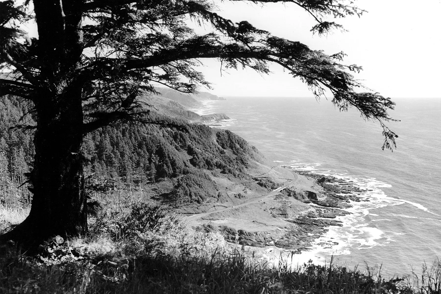 Black-and-white photograph: Oregon Coast. Location: Oregon Coast.