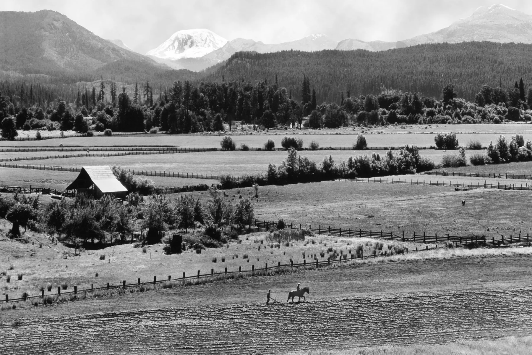 Black-and-white photograph: Plowing in the Willamette Valley, 1940s. Location: Willamette Valley, Oregon. Date: c. 1940s.
