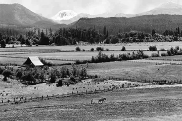 Black-and-white photograph: Plowing in the Willamette Valley, 1940s. Location: Willamette Valley, Oregon. Date: c. 1940s.