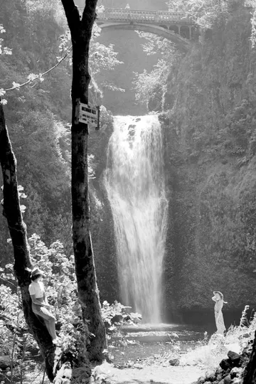 Black-and-white photograph: Multnomah Falls. Location: Multnomah Falls, Columbia River Gorge, Oregon.